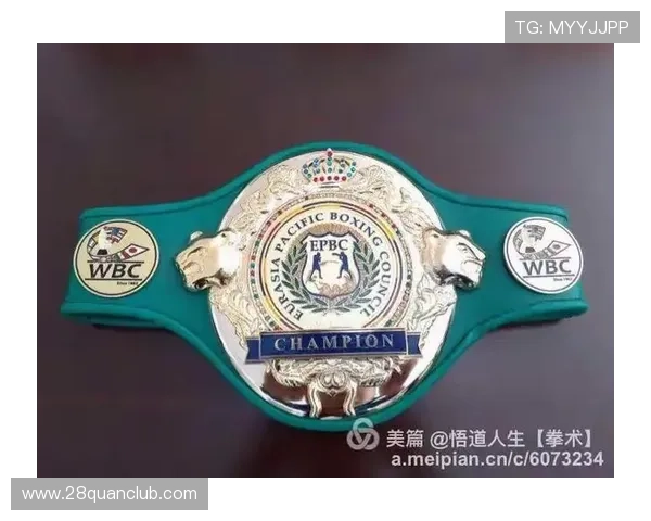 阿斯顿维拉俱乐部辉煌历程与未来发展战略深度解析